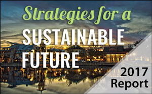 Strategies for a Sustainable Future
