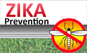 Zika Prevention