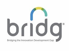 BRIDG Logo