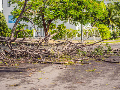 Hurricane Preparedness: Unincorporated Osceola County/Garbage collection FAQ’s
