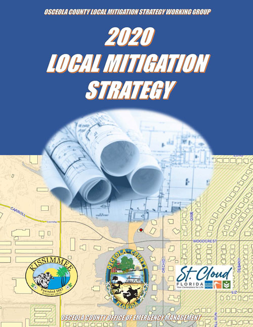 2020 Local Mitigation Strategy Cover