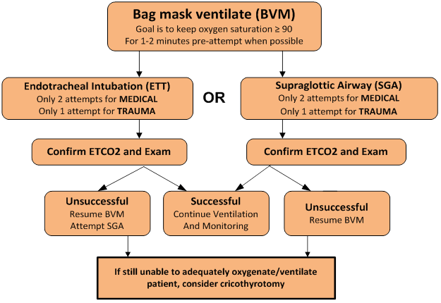 Bag mask ventilate (BVM) chart