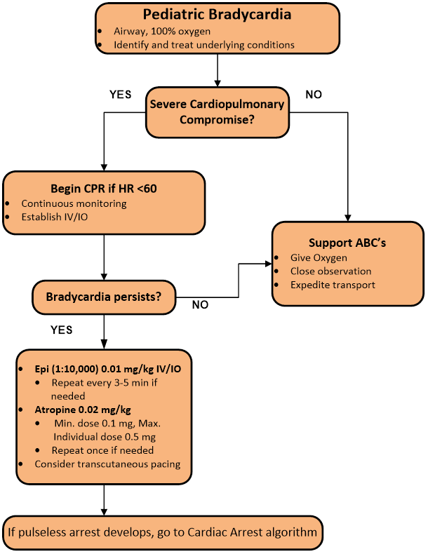 Cardiac Arrhythmia - Pediatric