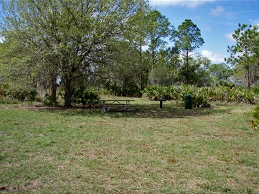 Camp Lonesome equestrian camping