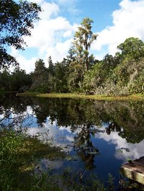 Shingle-Creek-12.jpg