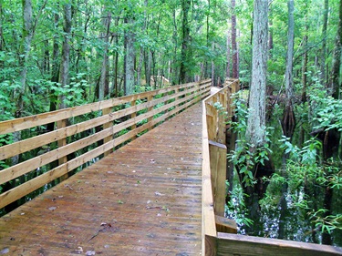 Shingle Creek Regional Park - Steffee Landing