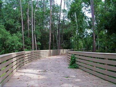 Shingle Creek Regional Park - Steffee Landing