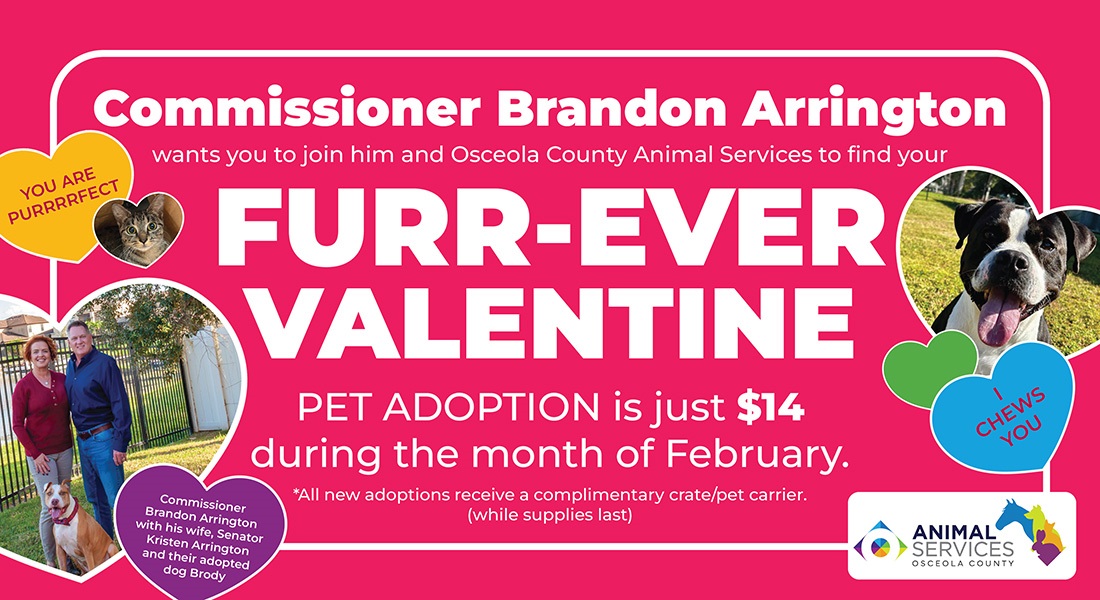 Commissioner Brandon Arrington wants you to join him and Osceola County Animal Services to find your Furr-Ever Valentine. Pet adoption is just $14 during the month of February. All new adoptions receives a complimentary crate/pet carrier while supplies last.