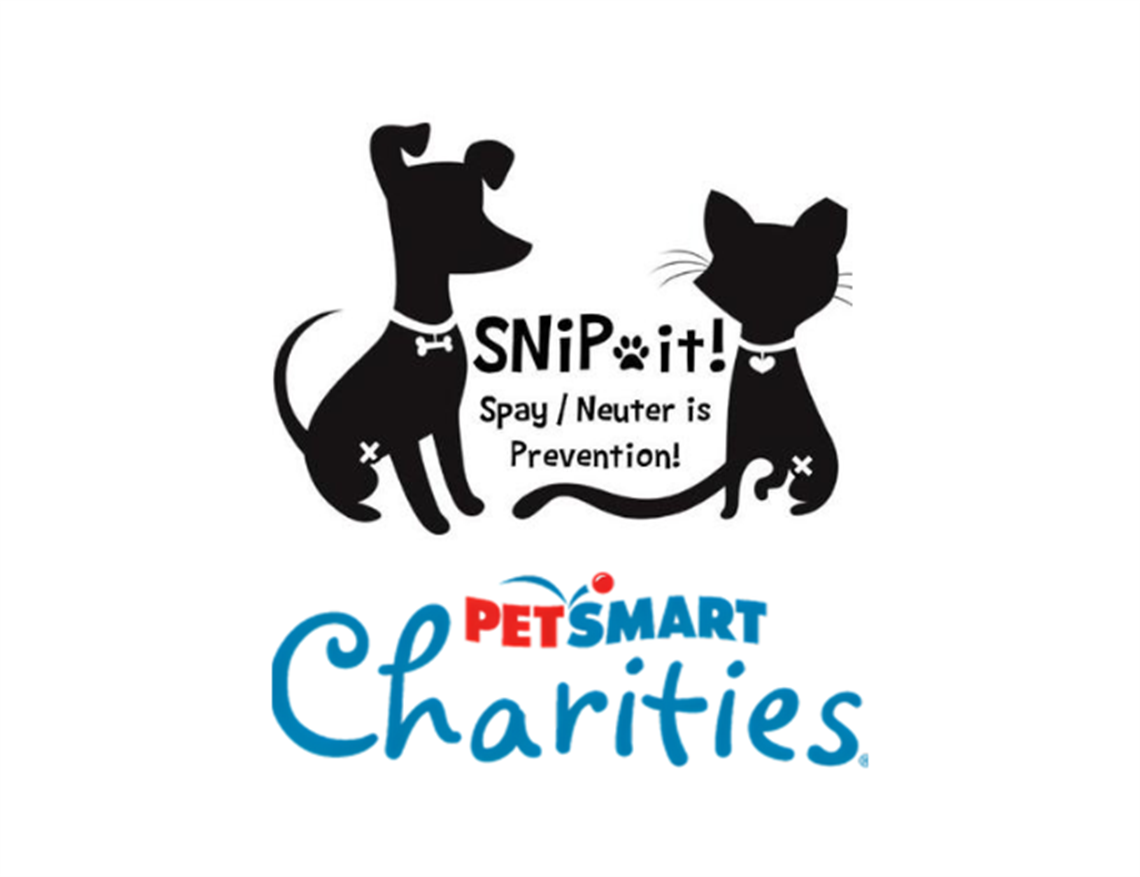 Low-Cost Veterinary Clinic to Open in Osceola County